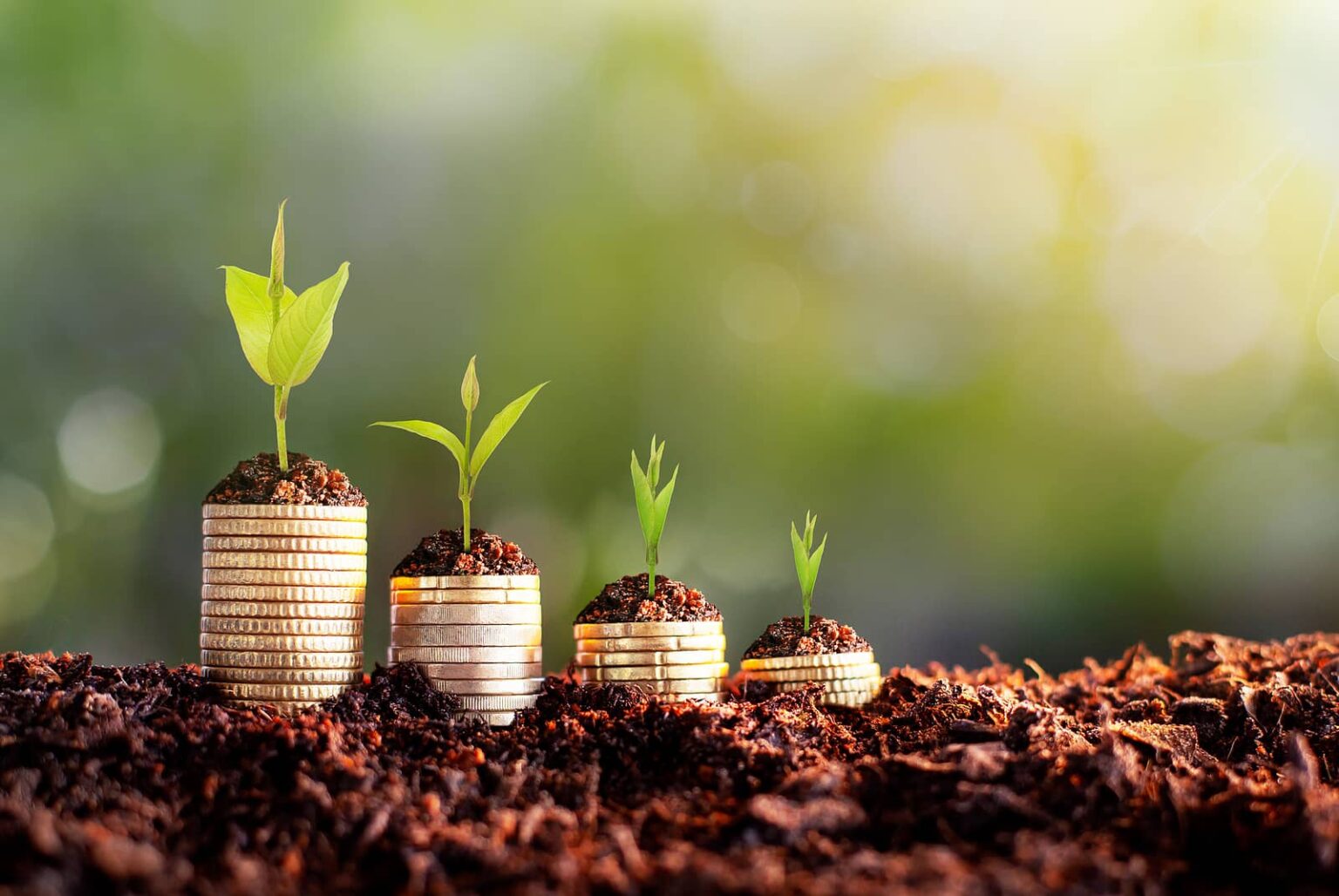 Finding Reputable Private Loan Lenders in Ontario