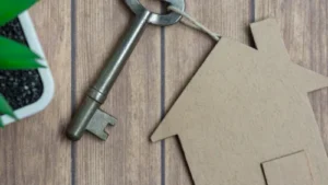 The Rise of Sustainable Housing Practices: Implications for Homebuyers